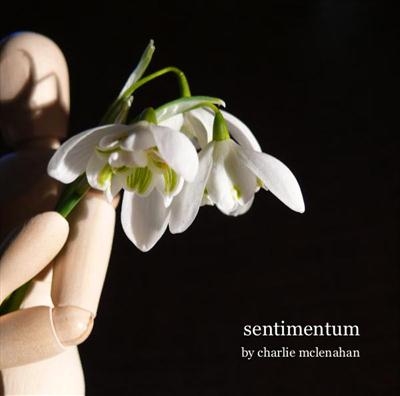 sentimentum by charlie mclenahan, Artist Book, Large book, 76 pages