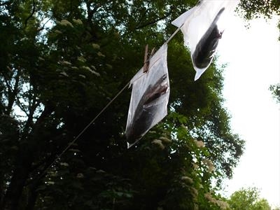 washing line by charlie mclenahan, Photography