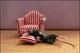death of a house mouse by charlie mclenahan (1)